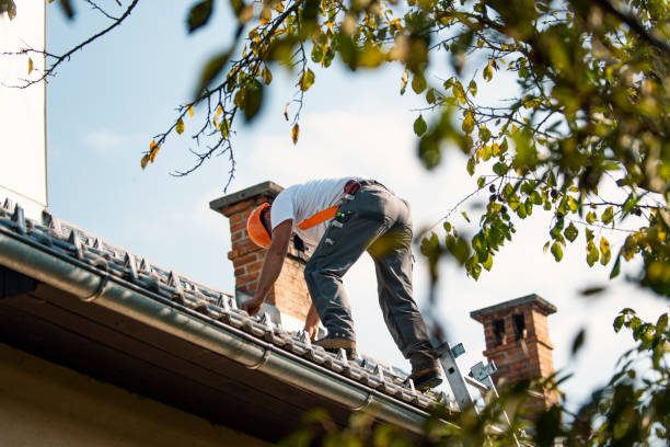 Best Local Roofing Companies  in Worthington, KY