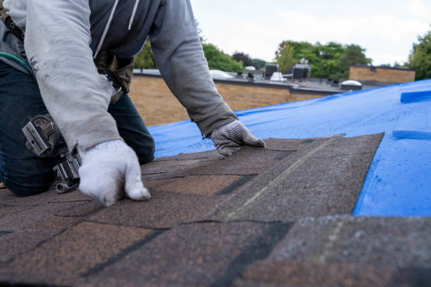 Best New Roof Installation  in Worthington, KY